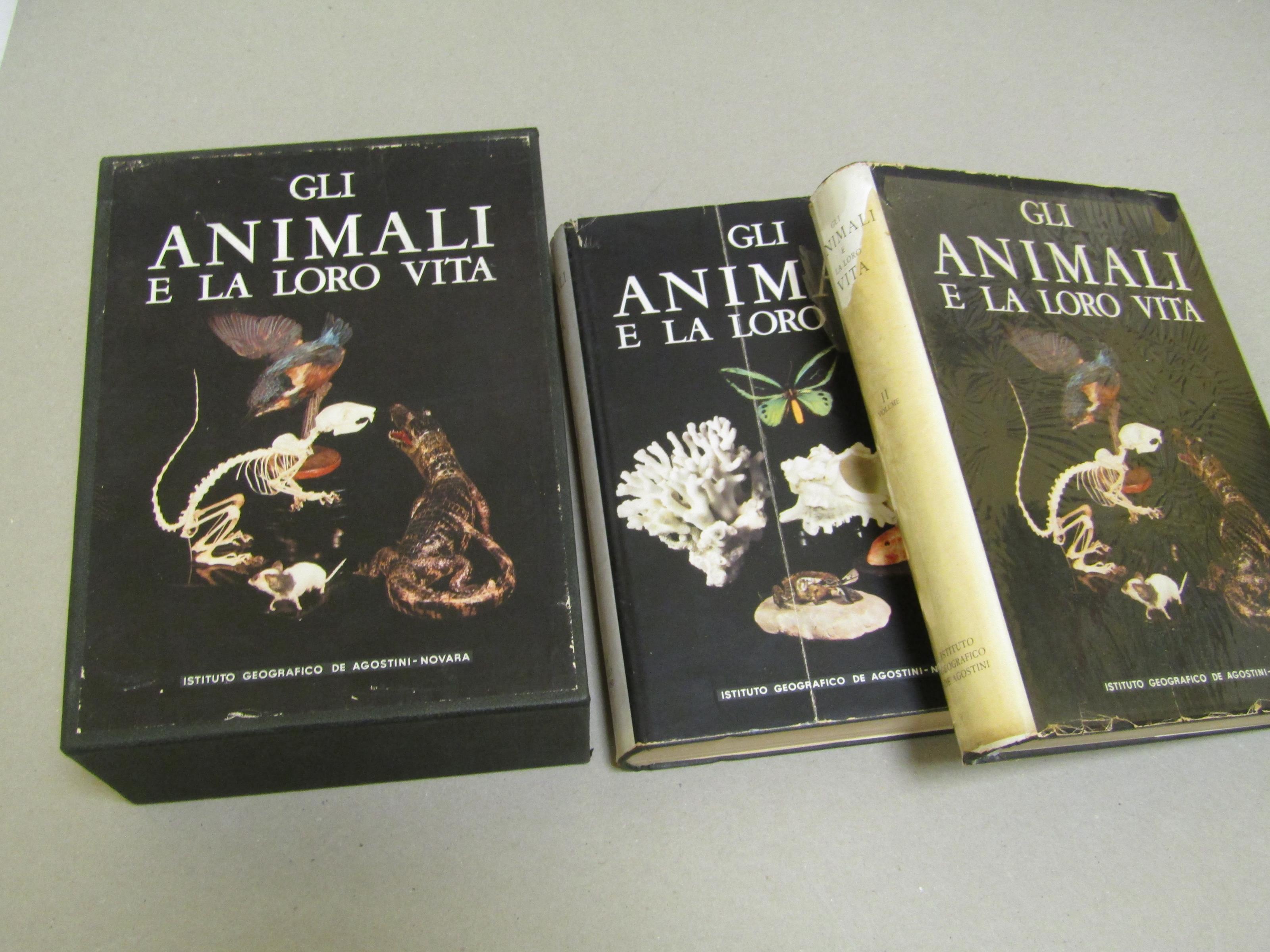Gli Gli Animali E La Loro Vita