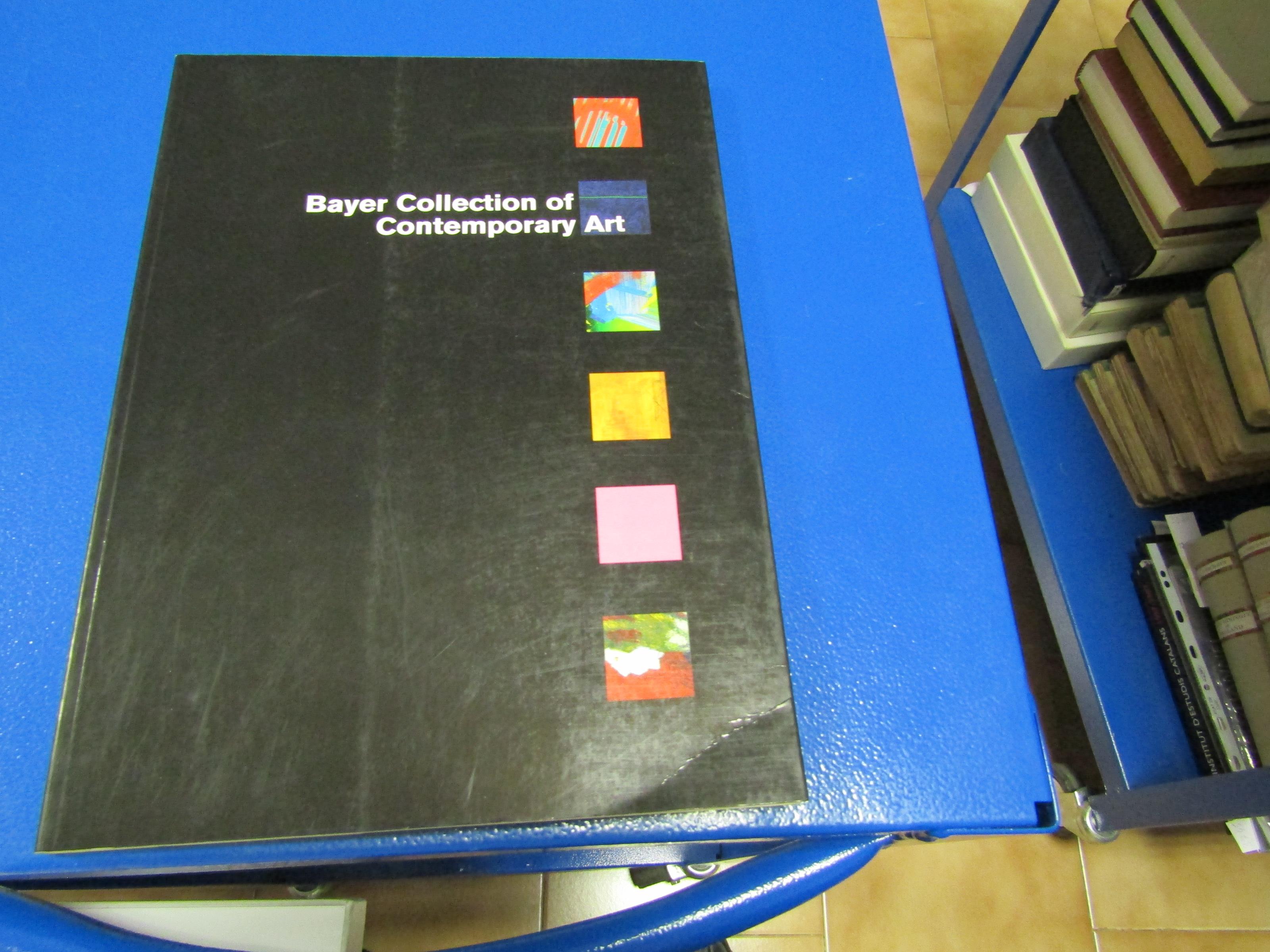 Bayer Collection Of Contemporary Art