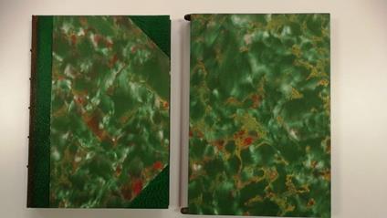 Ferdinando Fontana - ANTOLOGIA MENEGHINA, 1900 - Prima edizione - Ferdinando Fontana - copertina