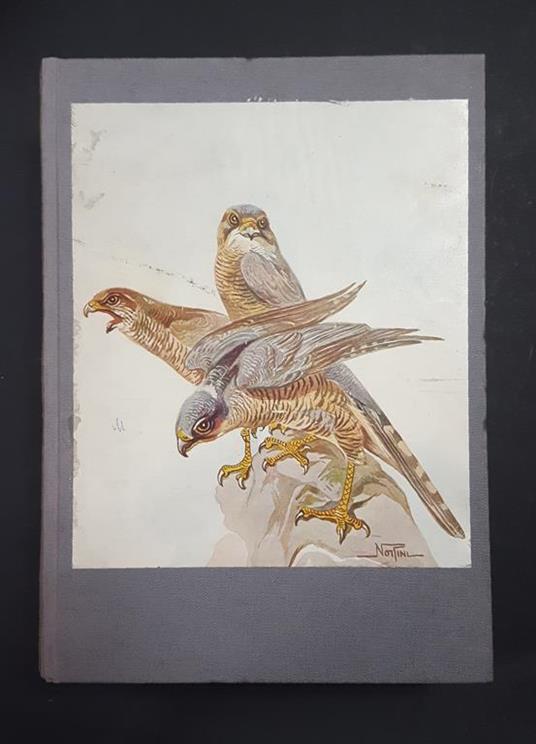 Ornitologia italiana. Hoepli. 1929 - Ettore Arrigoni Degli Oddi - copertina