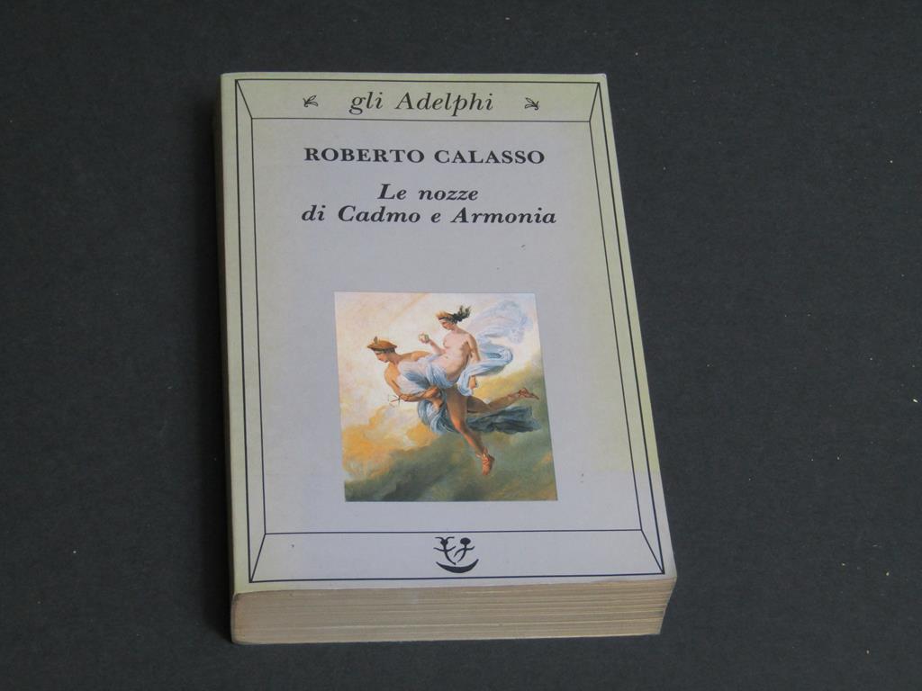 Amarcord Libri