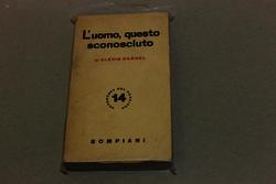 Amarcord Libri
