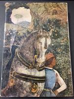 Andre Mantegna. A cura di Neri pozza editore. 1961