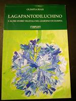 La Gapantodiluchino. Compiano editore. 2013