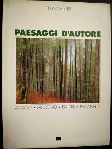 Roiter Fulvio. Paesaggi d'autore. Vianello libri. 1993 - Fulvio Roiter - copertina