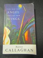 The way the angel spreads her wings. Little, brown and company. 1995