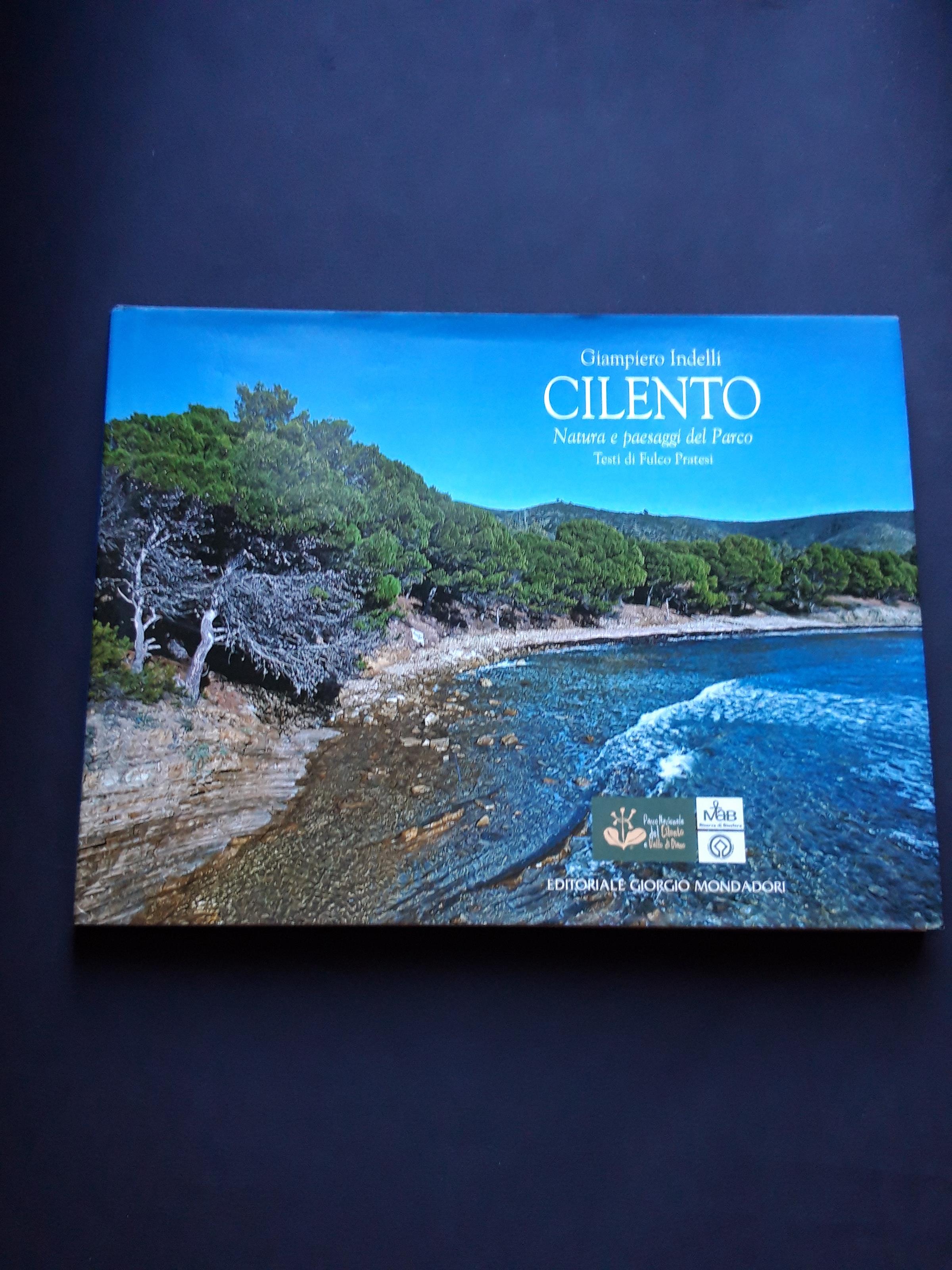 Indelli Giampiero, Cilento, Editoriale Giorgio Mondadori, 2008 - I