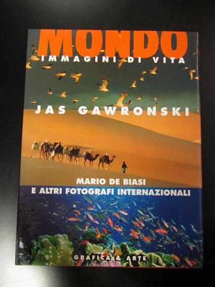 Mondo. Immagini di vita. Grafica & arte 1993 - copertina
