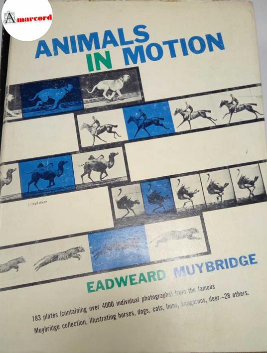 Muybridge Eadweard, Animals in motion, Dover Publications, 1957 - Eadweard Muybridge - copertina