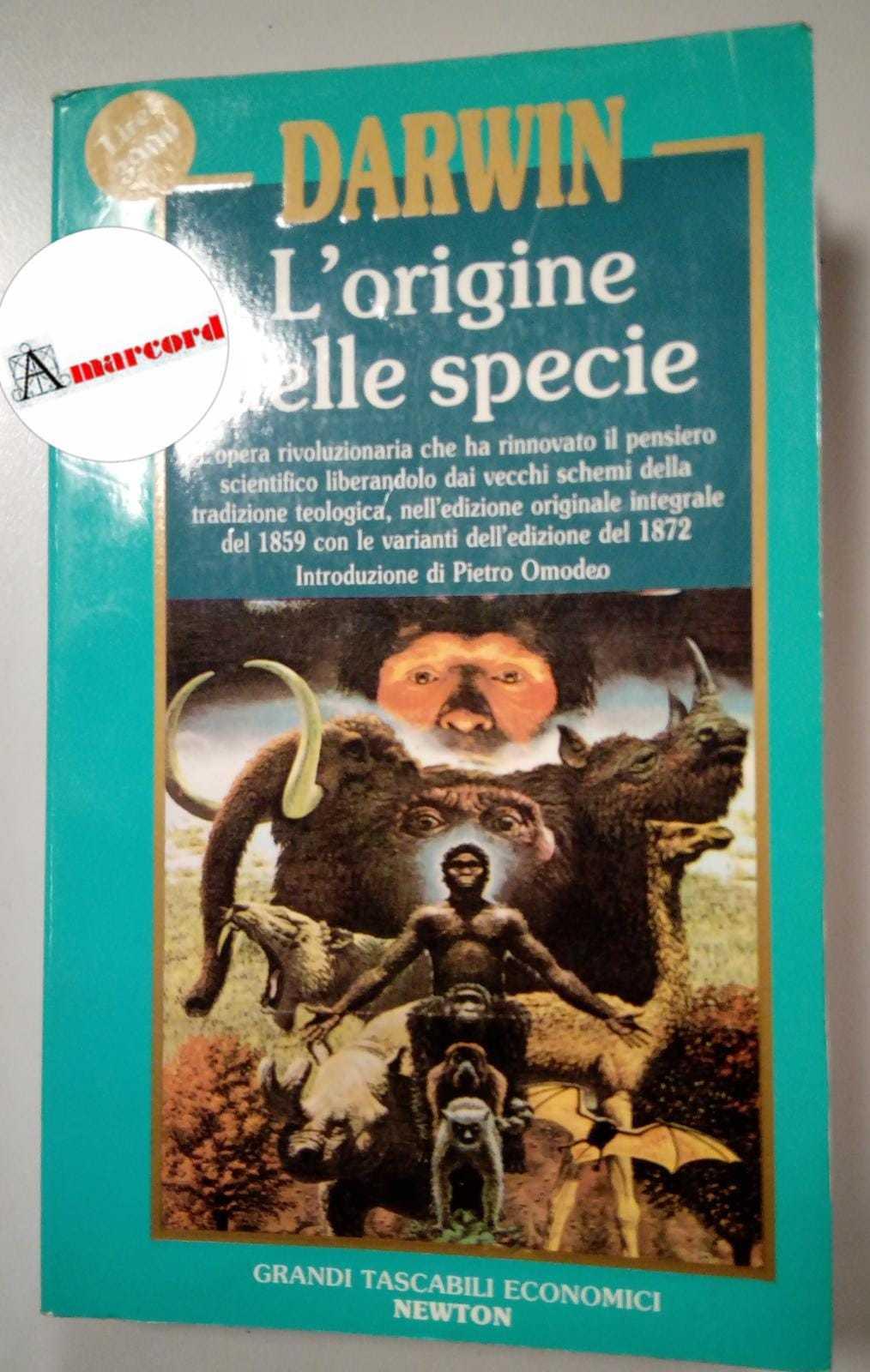 Amarcord Libri
