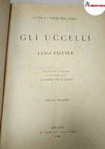 Figuier Luigi, Gli uccelli, Treves, 1869