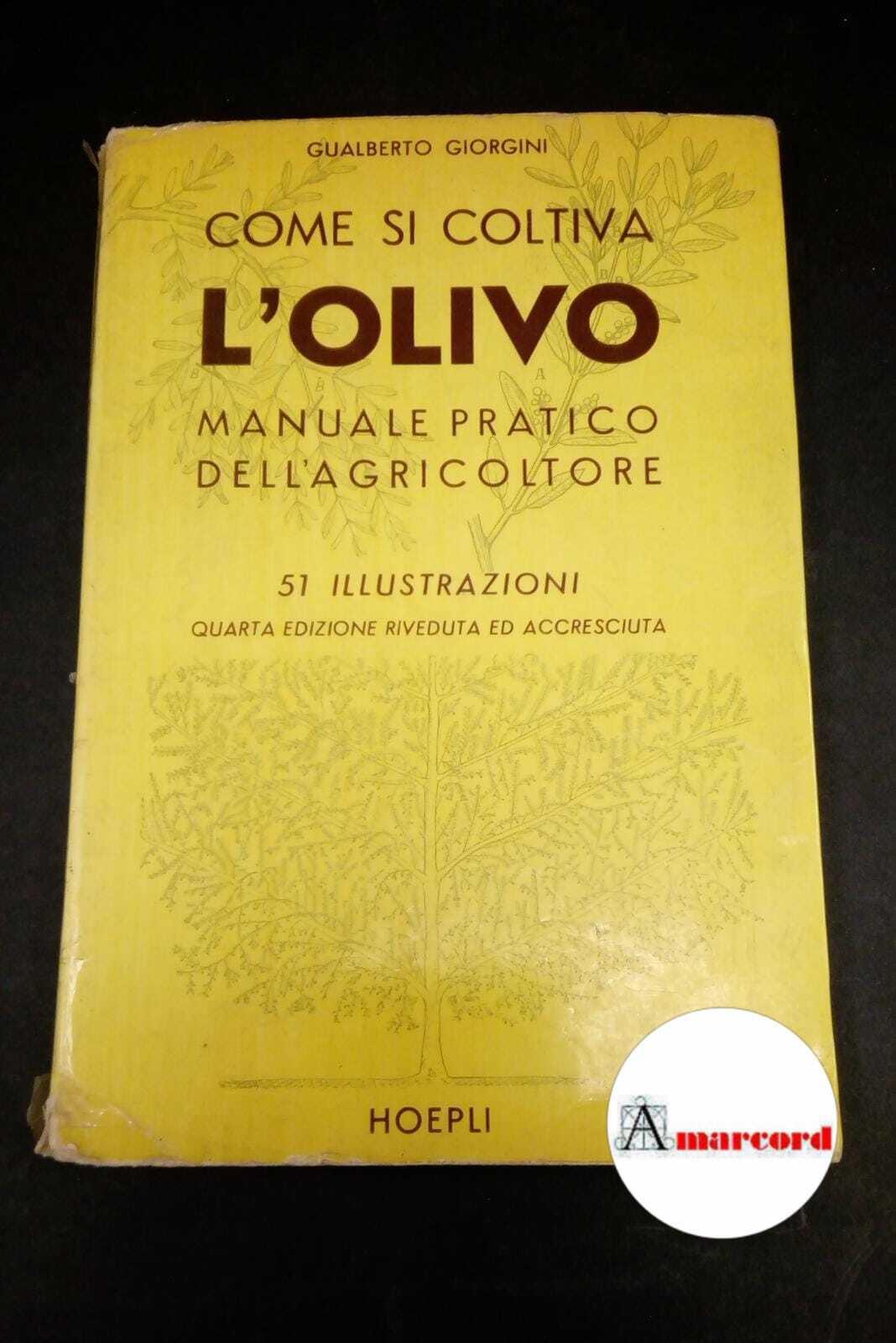 Amarcord Libri