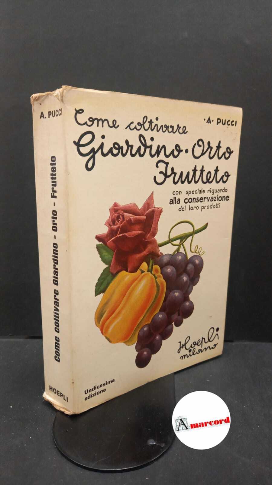 Amarcord Libri