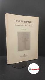 Brandi, Cesare. , and Brandi Rubiu, Vittorio. Come un'autobiografia Roma Cometa, 1998