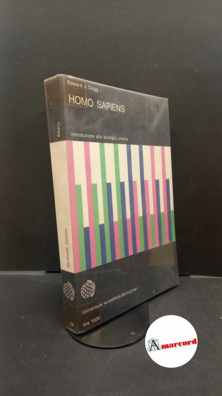 Amarcord Libri