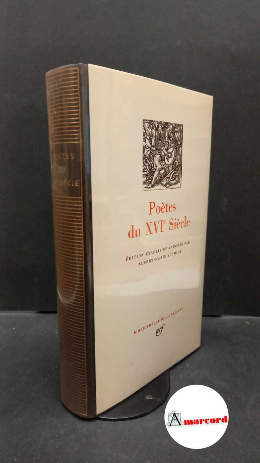 Amarcord Libri