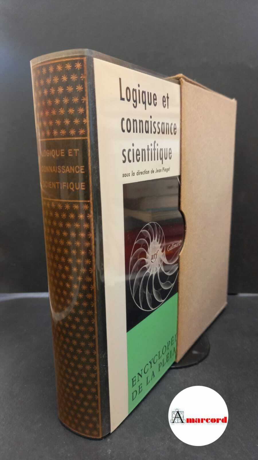 Amarcord Libri