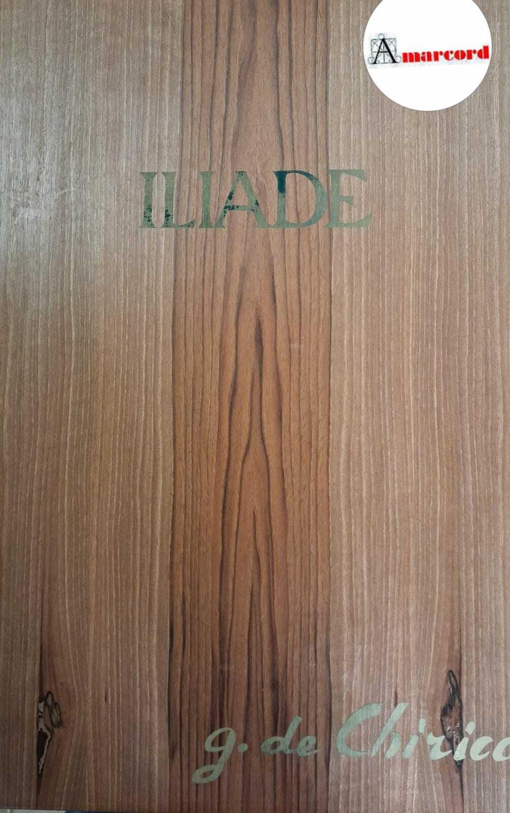 Iliade. Episodi scelti e tradotti da Salvatore Quasimodo illustrati con 26 tavole da Giorgio De Chirico Delfino