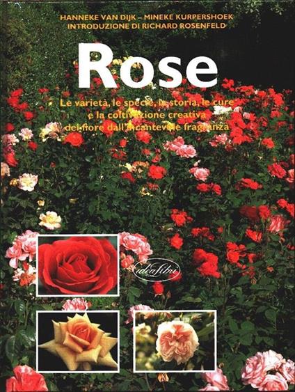 Rose. H. Van Dijk,? M. Kurpershoek - copertina