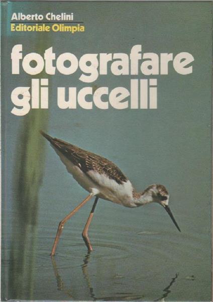 Fotografare gli uccelli - Alberto Chelini - Alberto Chelini - copertina