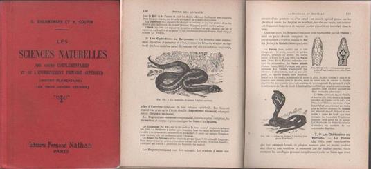 Les sciences naturelles. Des cours complèmentaires et de l'enseignement primaire supèrieur - copertina