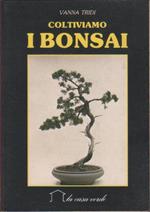 Coltiviamo i bonsai. Vanna Tridi