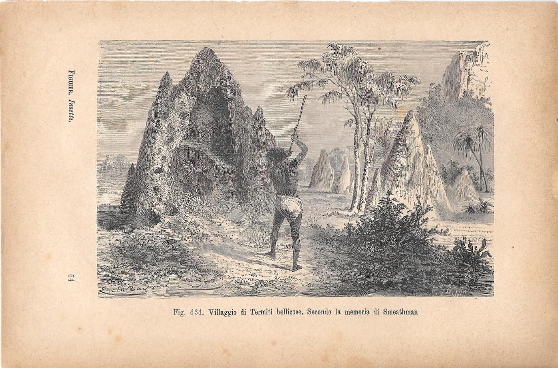 Villaggio di Termiti bellicose. Secondo la memoria di Smethman. Stampa 1893