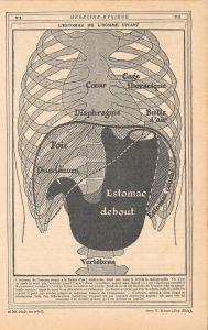 L' estomac de l'homme vivant. Stampa 1923 - copertina