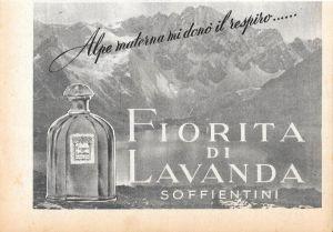 Fiorita di lavanda. Soffientini. Advertising 1947 - copertina