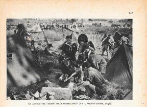 Asci. Un Angolo Del Campo Della Fratellanza (Milano Affori 1946). Stampa 1947 - copertina