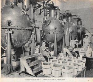 Concentratori per la fabbricazione della marmellata. 1947 - copertina