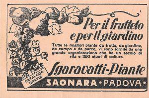 Sgaravatti piante, Saonara (Padova). Advertising 1937 - copertina