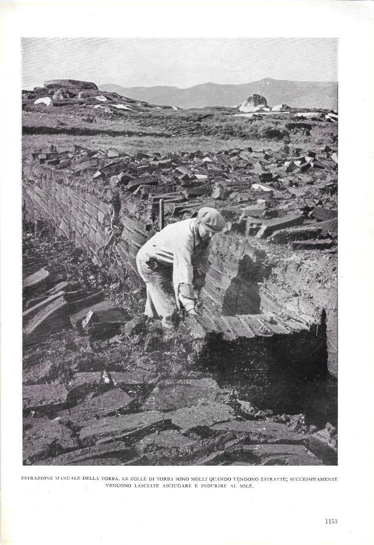 Libreria Biblos di Costa Pierandrea