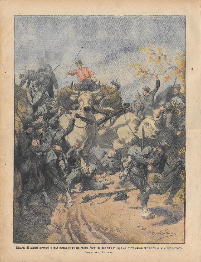 Domenica del Corriere 10/11/1912. A Siena buoi travolgono soldati . Beltrame