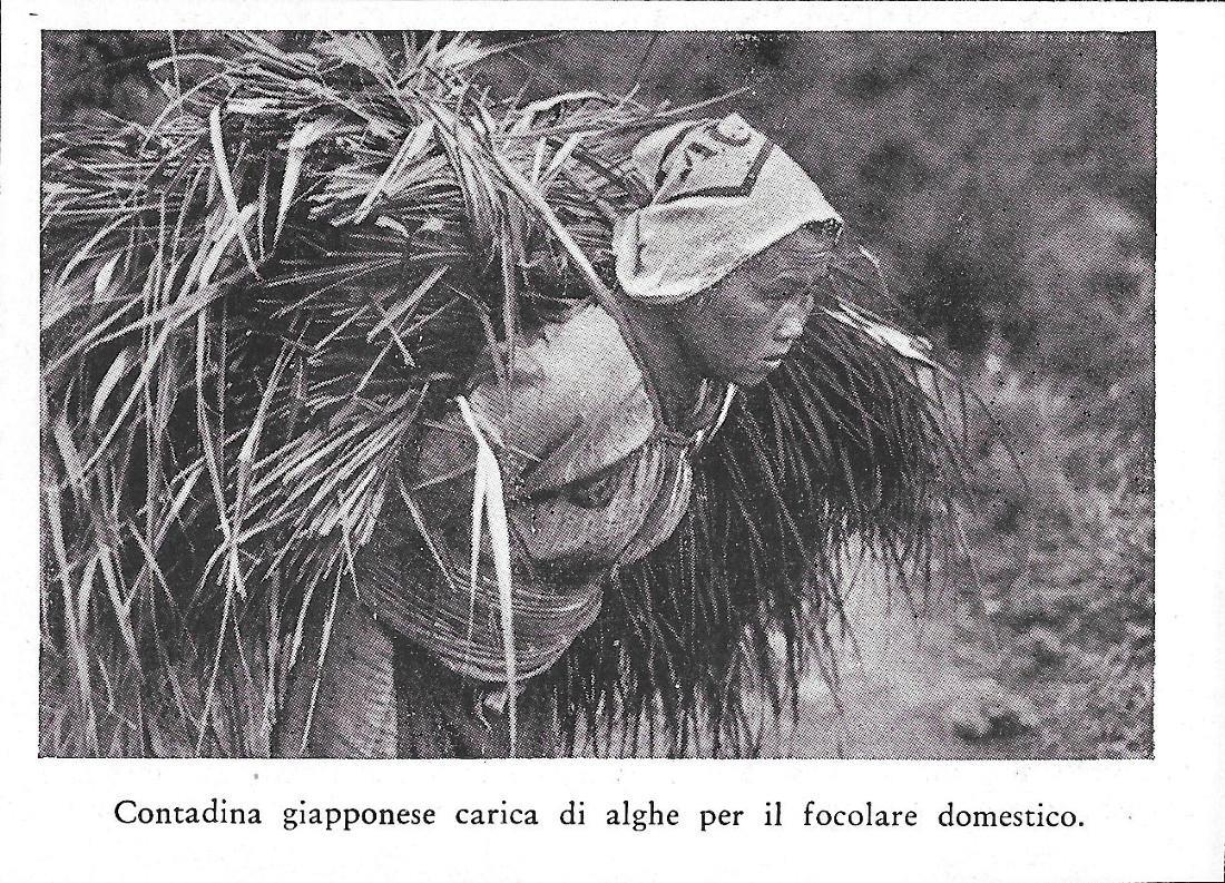 Contadina giapponese carica di alghe per il focolare domestico. Stampa 1934