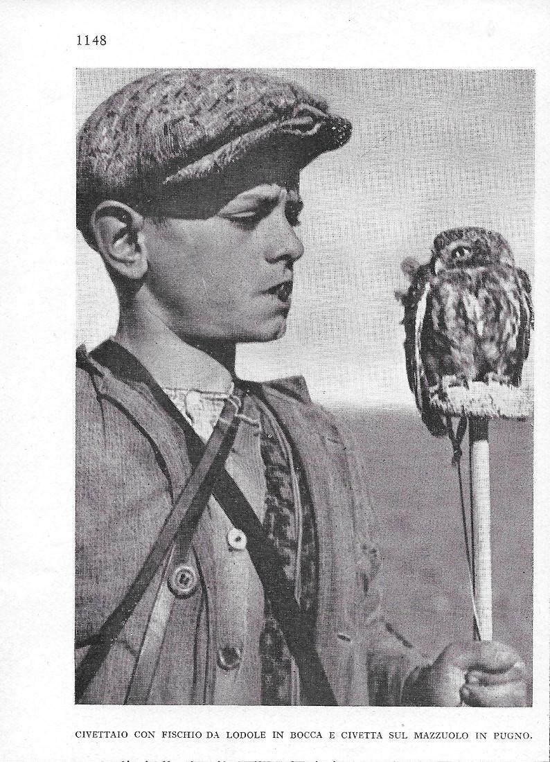 Libreria Biblos di Costa Pierandrea