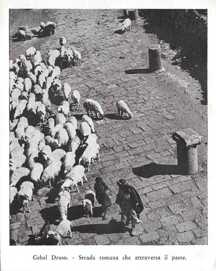 Gebel Druso. Strada romana che attraversa il paese. Stampa 1934 - copertina
