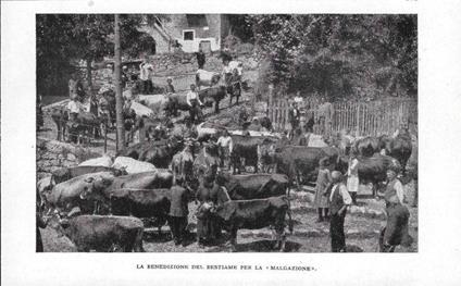 Terme di Comano La Benedizione del Bestiame per la Malgazione. Stampa 1928 - copertina