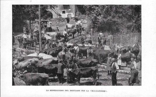 Terme di Comano La Benedizione del Bestiame per la Malgazione. Stampa 1928 - copertina
