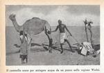Cammello usato per attingere acqua da un pozzo nel Wadai. Stampa 1934