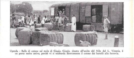Uganda. Balle di cotone sul molo di Gingia. Stampa 1934 - copertina