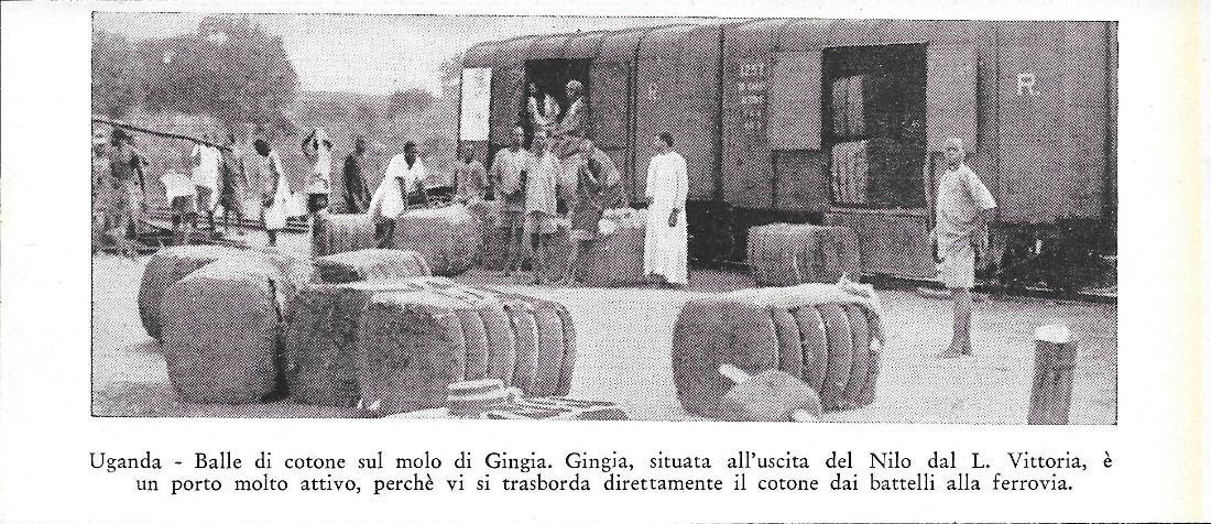 Uganda. Balle di cotone sul molo di Gingia. Stampa 1934