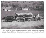 Carri carichi di capaci brocche contenenti le acque minerali. Stampa 1934