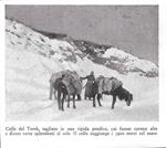 Colle del Terek. Stampa 1934
