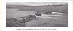 Uganda: Le cascate Ripon / I coccodrilli del Lago Alberto. Stampa 1934