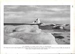 Un iceberg al largo della costa di Blosseville. Stampa 1934