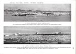 Costa Meridionale dello Scoresby-Sund/La banchisa lungo la costa della Penisola di Maby. Stampa 1934