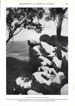 Il Parco Nazionale di Victoria (Australia). Stampa 1934