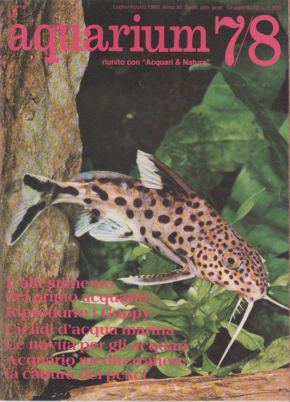 Libreria Biblos di Costa Pierandrea