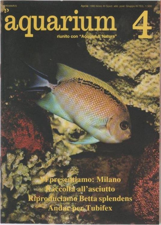Aquarium. 1980 n 4 - copertina
